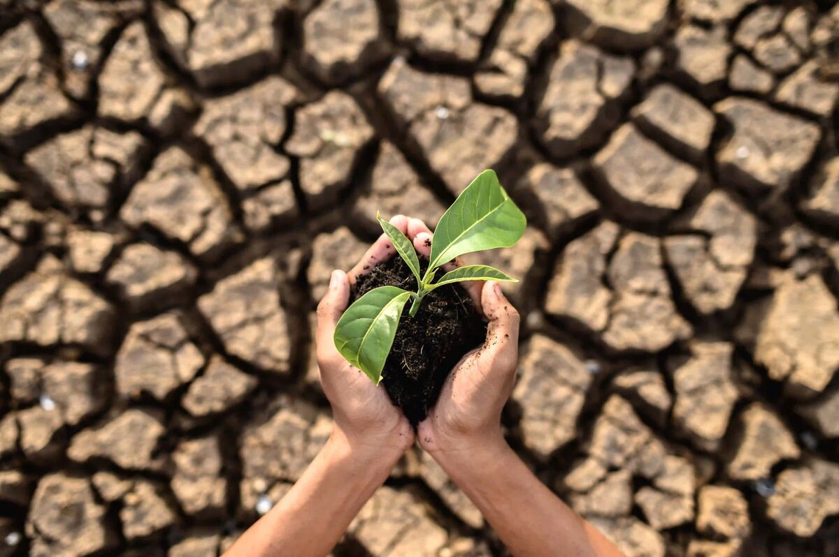 Climate Change: Is the Future of Our Planet in Danger?
